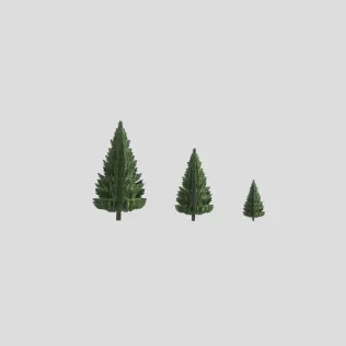 Fluffy Pine Trees