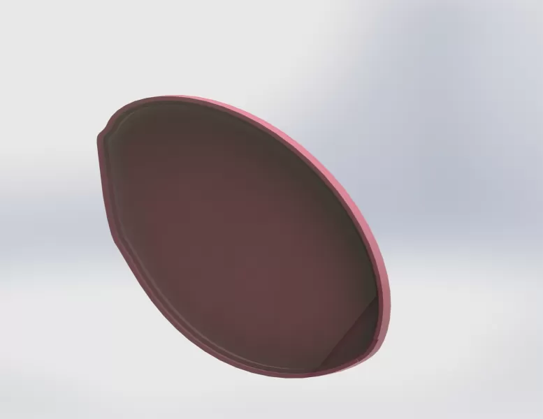 Leaf Soap Dish with Removable Veins - Model preview 8