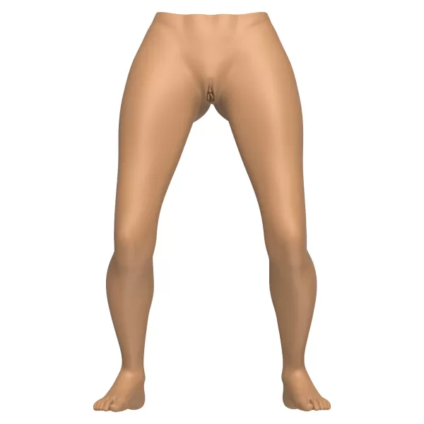3D Print Ready Woman Vagina Statue - Model preview 2