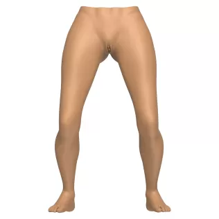 3D Print Ready Woman Vagina Statue - Model thumbnail 2