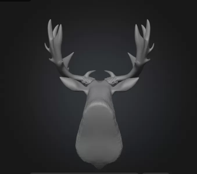 Moose head wall decor - Model preview 3