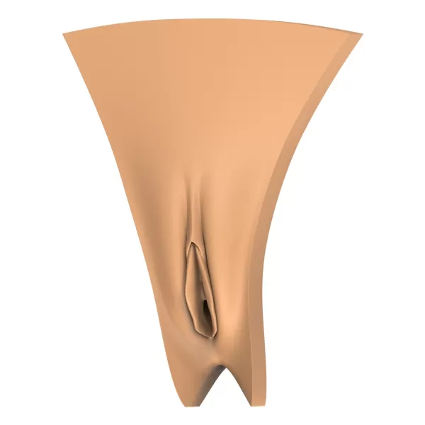 3D Print Ready Vagina Stage Collection - Model preview 3