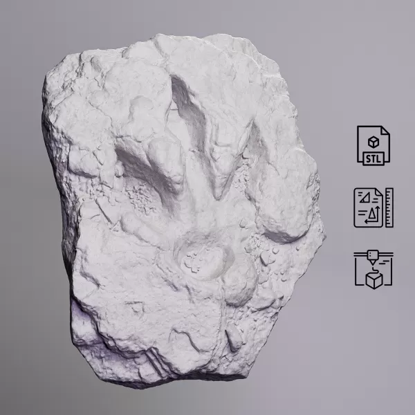 Dinosaur Track Fossil Rock #RoZ - Model preview 6