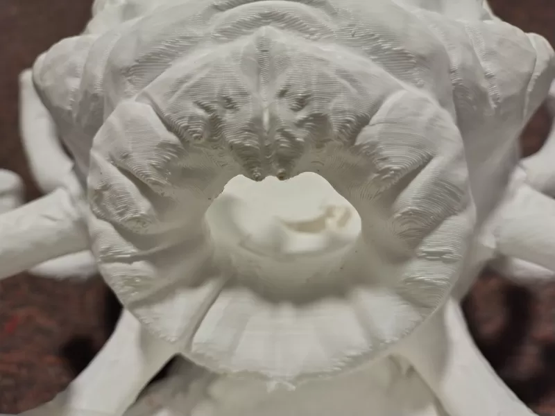 Beholder D&D Dice Roller Fan Art Big Print - Model preview 2