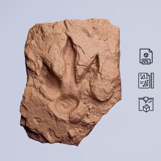 Dinosaur Track Fossil Rock #RoZ - Model thumbnail 2