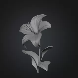 Lily flower - Model thumbnail 2