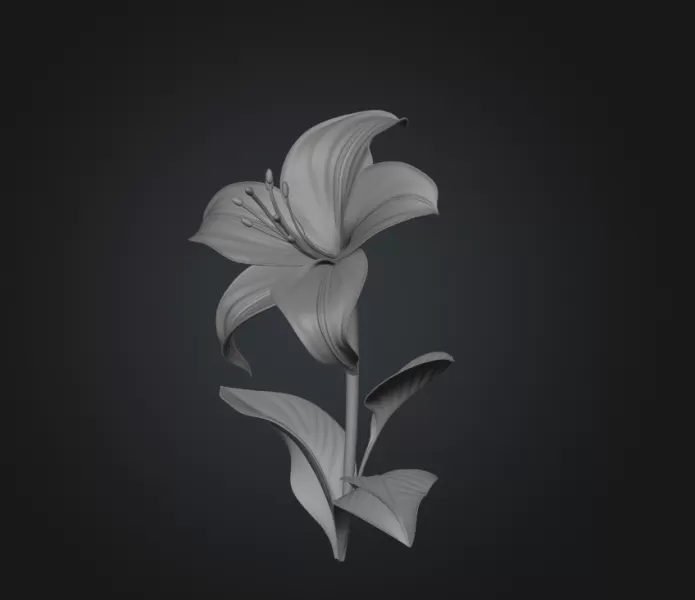 Lily flower - Model preview 2
