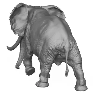 3D Printable Elephant