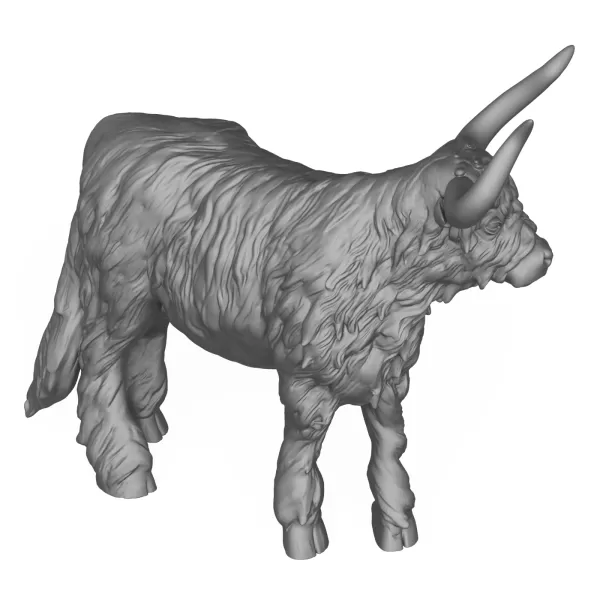 Himalayan Cow 3D Print Model - Model preview 5