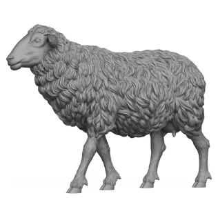 3D Printable Sheep Standing Pose