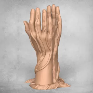 Beautiful Vase Hands - Model thumbnail 3