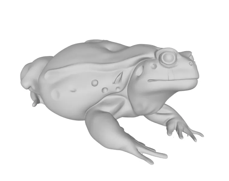 Жаба - Model preview 1