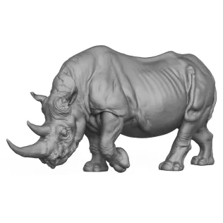 3D Printable Wild Animal Rhinoceros