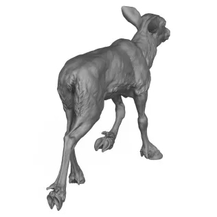 3D Printable Reindeer Calf Standing Pose