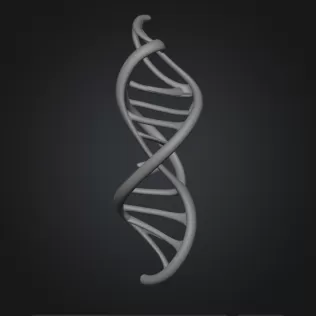 DNA sculpture