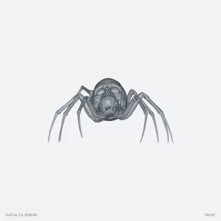 Skull Spider Creature - 100 mm STL - Model thumbnail 2