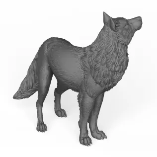 Wild Wolf