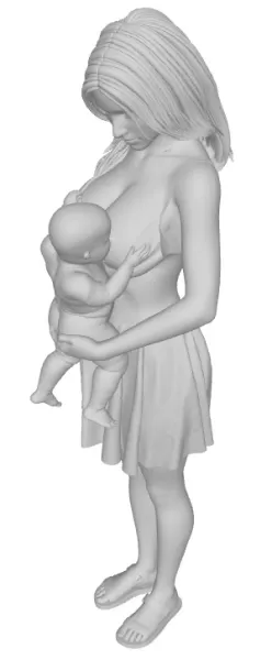 Feeding - Model preview 1