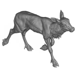 3D Printable Reindeer Calf Standing Pose - Model thumbnail 6