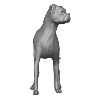 Boxer Dog Alert Pose 3D Print Model - Model thumbnail 2