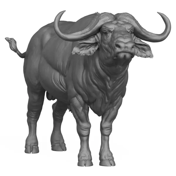 3D Printable Wild Buffalo - Model preview 5