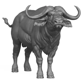 3D Printable Wild Buffalo - Model thumbnail 5