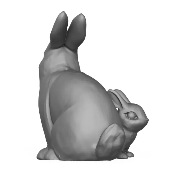 Rabbit Family - Model preview 6
