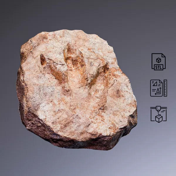 Dinosaur Footprint Fossil #RoZ - Model preview 2