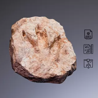 Dinosaur Footprint Fossil #RoZ - Model thumbnail 2