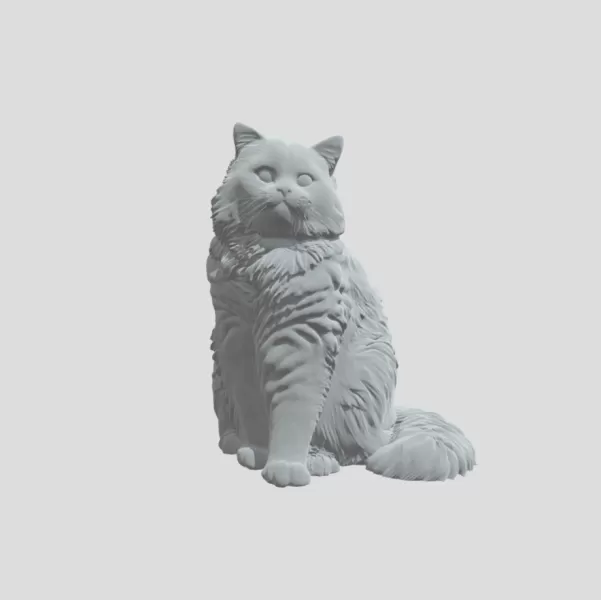 Detailed Cat - Model preview 1