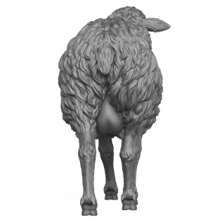 3D Printable Sheep Standing Pose