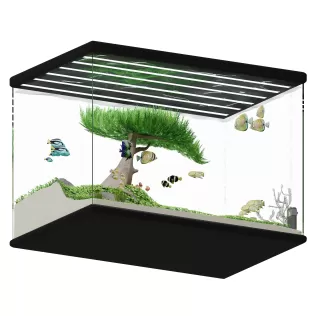 AQUASCAPE - Model thumbnail 2