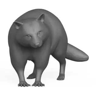 Racoon Animal - Model thumbnail 2