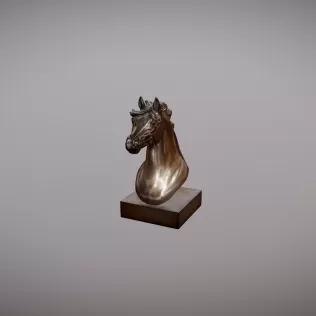 Horse Head