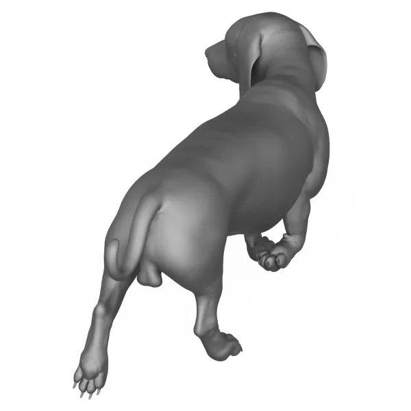 Dachshund Dog 3D Print Model - Model preview 7