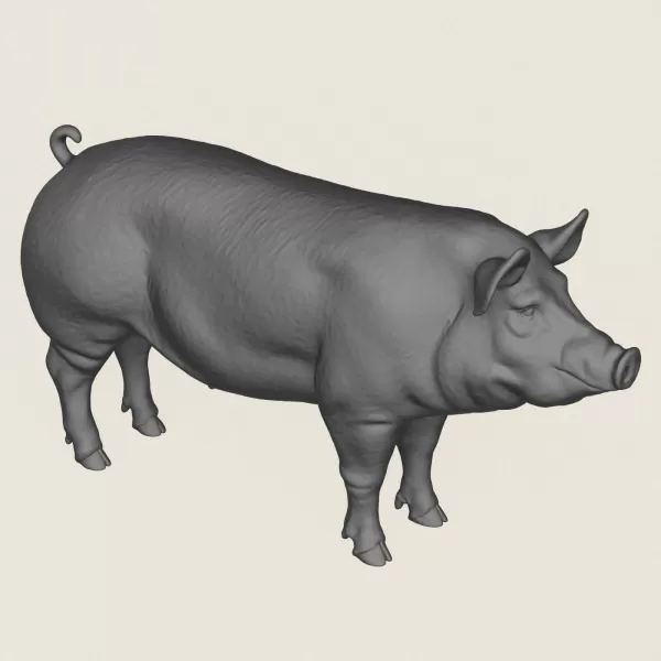 Pig Print Ready 3D Model - Model preview 4