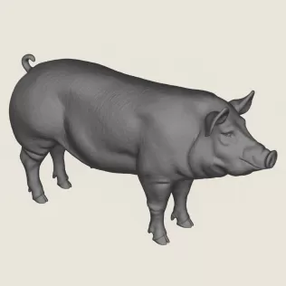 Pig Print Ready 3D Model - Model thumbnail 4