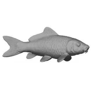 3D Printable Fish - Model thumbnail 3