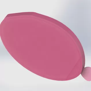 Leaf Soap Dish with Removable Veins - Model thumbnail 6