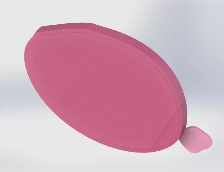 Leaf Soap Dish with Removable Veins - Model preview 6