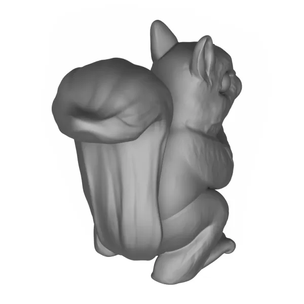 Squirrel - Model preview 5