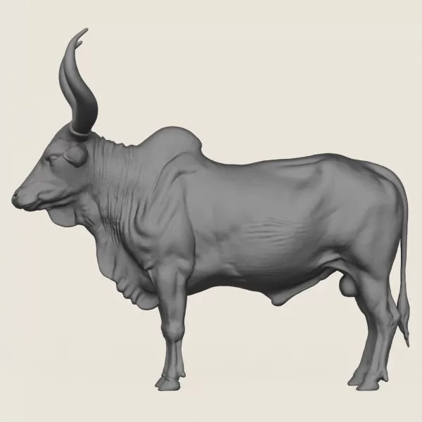 Indian Bull Print Ready 3D Model - Model preview 3
