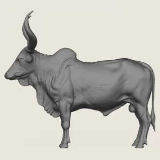 Indian Bull Print Ready 3D Model - Model thumbnail 3