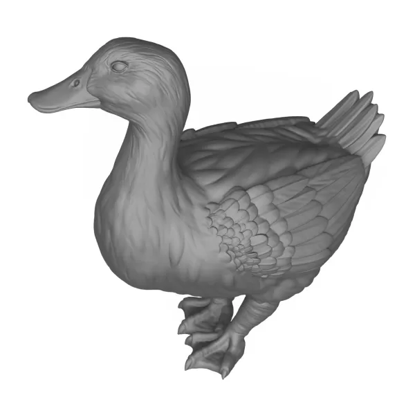 3D Printable Duck Bird - Model preview 5