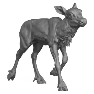 3D Printable Reindeer Calf Standing Pose - Model thumbnail 5