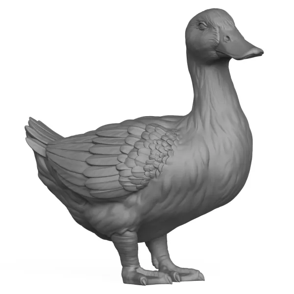 3D Printable Duck Bird - Model preview 1