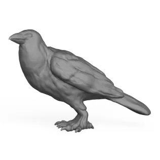 Crow Bird - Model thumbnail 3
