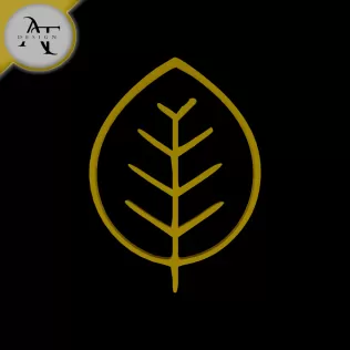 Simple Leaf Symbol - 2D Art