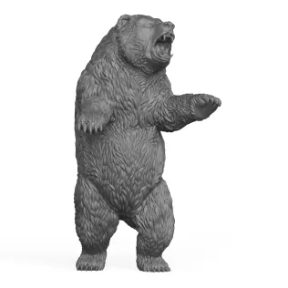 Wild Bear