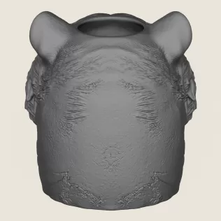 Tiger Head Plant Pot